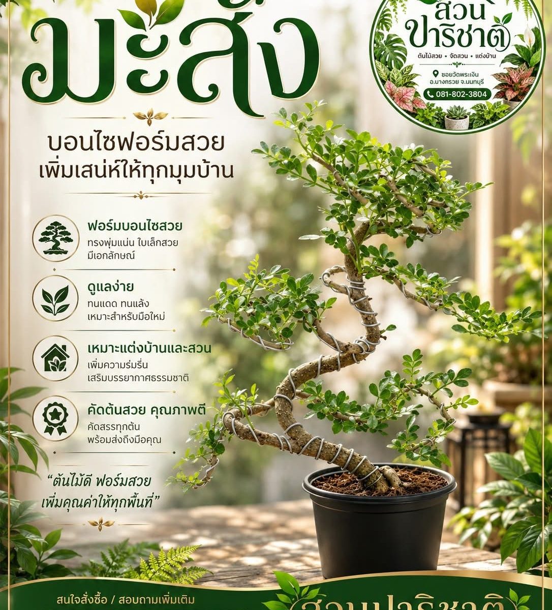มะสัง