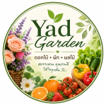 Yad Garden