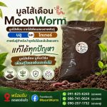 มูลไส้เดือน - นครศรีธรรมราช