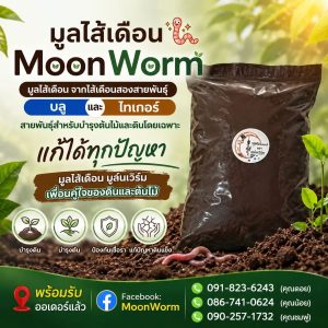 MoonWorm Organic