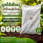 มูลไส้เดือน - นครศรีธรรมราช รูปที่ 4