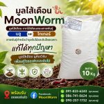 มูลไส้เดือน - นครศรีธรรมราช รูปที่ 5