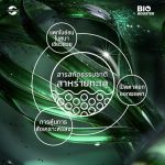 Bio-Booster ไบโอ-บูสเตอร์ | อะมิโน+สาหร่าย+น้ำตาลทางด่วน สูตรเข้มข้น สำหรับทุเรียน-ผลไม้-ผัก ตรา แอ็กโกร ชาห์ (1 ลิตร) - กรุงเทพมหานคร รูปที่ 2