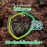 Bio-Protect ไบโอ-โพรเทค | ไคโตซานธรรมชาติ เสริมภูมิคุ้มกันพืช ขั้วเหนียว ลดการหลุดร่วง ตรา แอ็กโกร ชาห์ (1 ลิตร) - กรุงเทพมหานคร รูปที่ 1