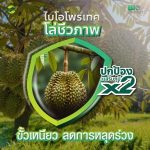 Bio-Protect ไบโอ-โพรเทค | ไคโตซานธรรมชาติ เสริมภูมิคุ้มกันพืช ขั้วเหนียว ลดการหลุดร่วง ตรา แอ็กโกร ชาห์ (1 ลิตร) - กรุงเทพมหานคร รูปที่ 2