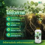 Bio-Protect ไบโอ-โพรเทค | ไคโตซานธรรมชาติ เสริมภูมิคุ้มกันพืช ขั้วเหนียว ลดการหลุดร่วง ตรา แอ็กโกร ชาห์ (1 ลิตร) - กรุงเทพมหานคร รูปที่ 3