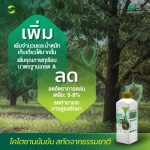 Bio-Protect ไบโอ-โพรเทค | ไคโตซานธรรมชาติ เสริมภูมิคุ้มกันพืช ขั้วเหนียว ลดการหลุดร่วง ตรา แอ็กโกร ชาห์ (1 ลิตร) - กรุงเทพมหานคร รูปที่ 5