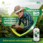 Bio-Protect ไบโอ-โพรเทค | ไคโตซานธรรมชาติ เสริมภูมิคุ้มกันพืช ขั้วเหนียว ลดการหลุดร่วง ตรา แอ็กโกร ชาห์ (1 ลิตร) - กรุงเทพมหานคร รูปที่ 6