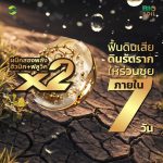 Bio-Soil ไบโอ-ซอยล์ | ฮิวมิค+ฟูลวิค สูตรเข้มข้น แก้ดินเสื่อม ปรับดินร่วนซุย กระตุ้นการแตกราก ตรา แอ็กโกร ชาห์ (1 ลิตร) - กรุงเทพมหานคร รูปที่ 1