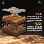Bio-Soil ไบโอ-ซอยล์ | ฮิวมิค+ฟูลวิค สูตรเข้มข้น แก้ดินเสื่อม ปรับดินร่วนซุย กระตุ้นการแตกราก ตรา แอ็กโกร ชาห์ (1 ลิตร) - กรุงเทพมหานคร รูปที่ 2
