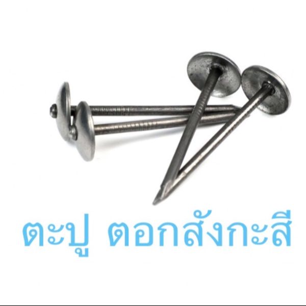 ตะปู ตอกสังกะสี 100กรัม วัสดุอย่างดี แข็งแรง