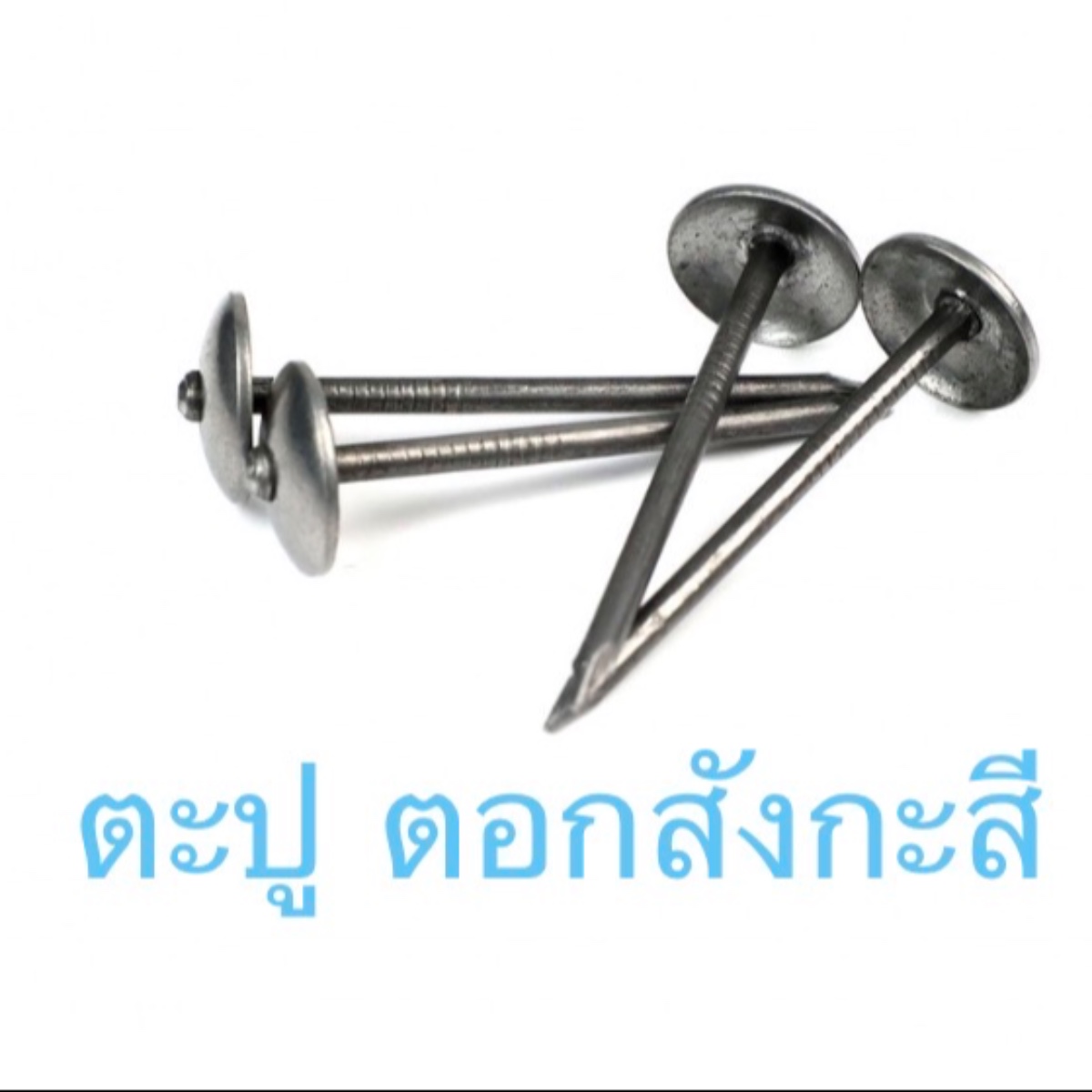 ตะปู ตอกสังกะสี 100กรัม วัสดุอย่างดี แข็งแรง