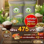 https://s.shopee.co.th/18xbKlmUR - ชุมพร