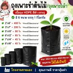 ถุงเพาะชำ สีดำเจาะรู ขายยกกิโล ราคาโรงงาน — หนา 350-450 ไมครอน เหนียวจริง ทนแดดทนฝนใช้ซ้ำได้เป็นปี ครบ 6 ขนาด (2×6 ถึง 8×16) เพาะกล้า ชำกิ่ง เปลี่ยนถุงต้นไม้ จบที่เดียว - สุพรรณบุรี รูปที่ 2