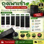 ถุงเพาะชำ สีดำเจาะรู ขายยกกิโล ราคาโรงงาน — หนา 350-450 ไมครอน เหนียวจริง ทนแดดทนฝนใช้ซ้ำได้เป็นปี ครบ 6 ขนาด (2×6 ถึง 8×16) เพาะกล้า ชำกิ่ง เปลี่ยนถุงต้นไม้ จบที่เดียว - สุพรรณบุรี รูปที่ 3