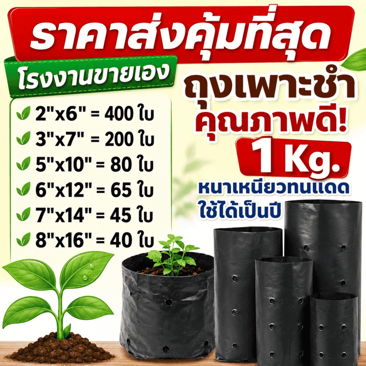 ถุงเพาะชำ สีดำเจาะรู ขายยกกิโล ราคาโรงงาน — หนา 350-450 ไมครอน เหนียวจริง ทนแดดทนฝนใช้ซ้ำได้เป็นปี ครบ 6 ขนาด (2×6 ถึง 8×16) เพาะกล้า ชำกิ่ง เปลี่ยนถุงต้นไม้ จบที่เดียว