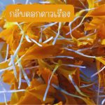 กลีบดอกดาวเรืองสด คละสี เหลือง ส้ม สำหรับนำไปตากแห้ง ขนาด 200 กรัม 39 บาท - ศรีสะเกษ รูปที่ 1