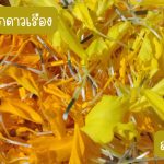 กลีบดอกดาวเรืองสด คละสี เหลือง ส้ม สำหรับนำไปตากแห้ง ขนาด 200 กรัม 39 บาท - ศรีสะเกษ รูปที่ 6