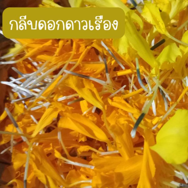 กลีบดอกดาวเรืองสด คละสี เหลือง ส้ม สำหรับนำไปตากแห้ง ขนาด 200 กรัม 39 บาท