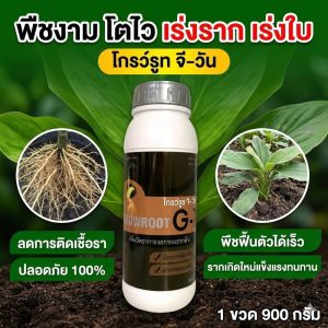 รีวิว โกรว์รูธ จี-วัน (Growroot G-1) สารเร่งรากจากธรรมชาติ ดีไหม? คุ้มไหม?