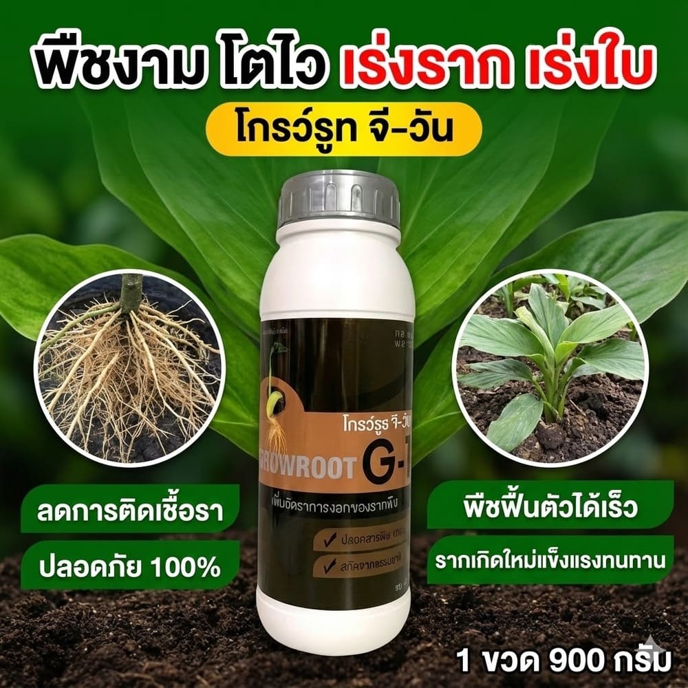 รีวิว โกรว์รูธ จี-วัน (Growroot G-1) สารเร่งรากจากธรรมชาติ ดีไหม? คุ้มไหม?
