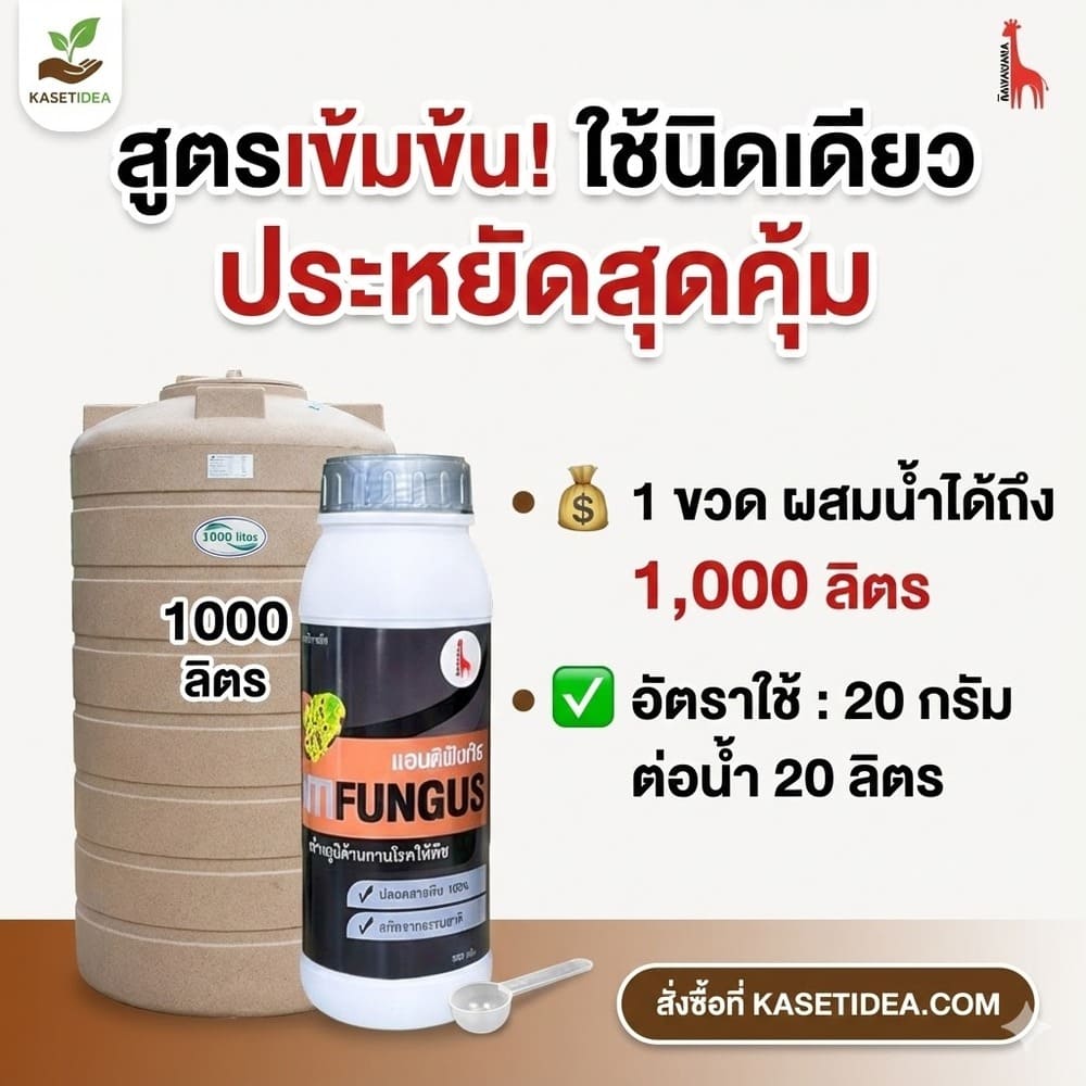 รีวิว โกรว์รูธ จี-วัน (Growroot G-1)