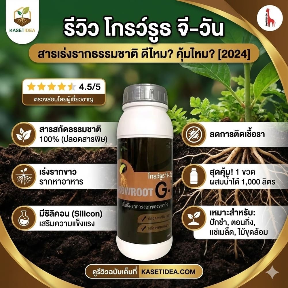 รีวิว โกรว์รูธ จี-วัน
