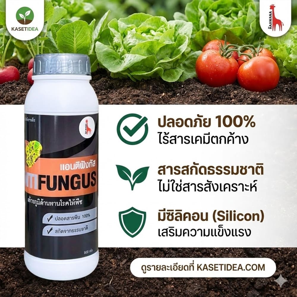 สารเร่งราก โกรว์รูธ จี-วัน