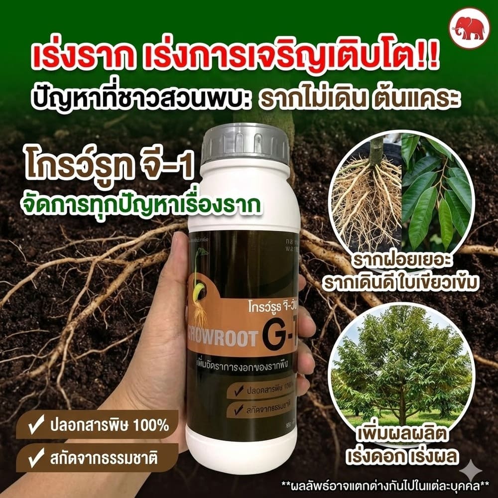 โกรว์รูธ จี-วัน