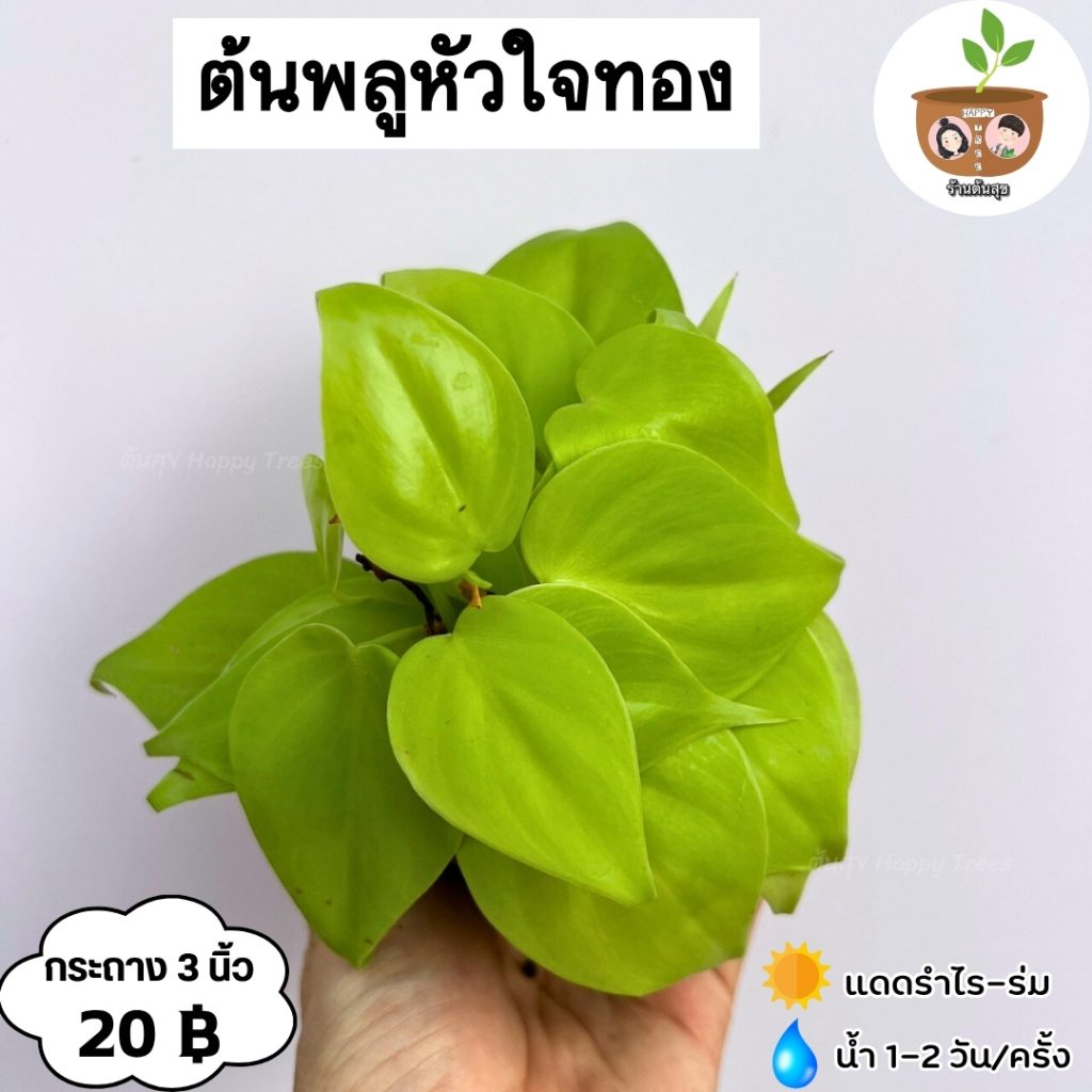 การป้องกันและกำจัดศัตรูพืช